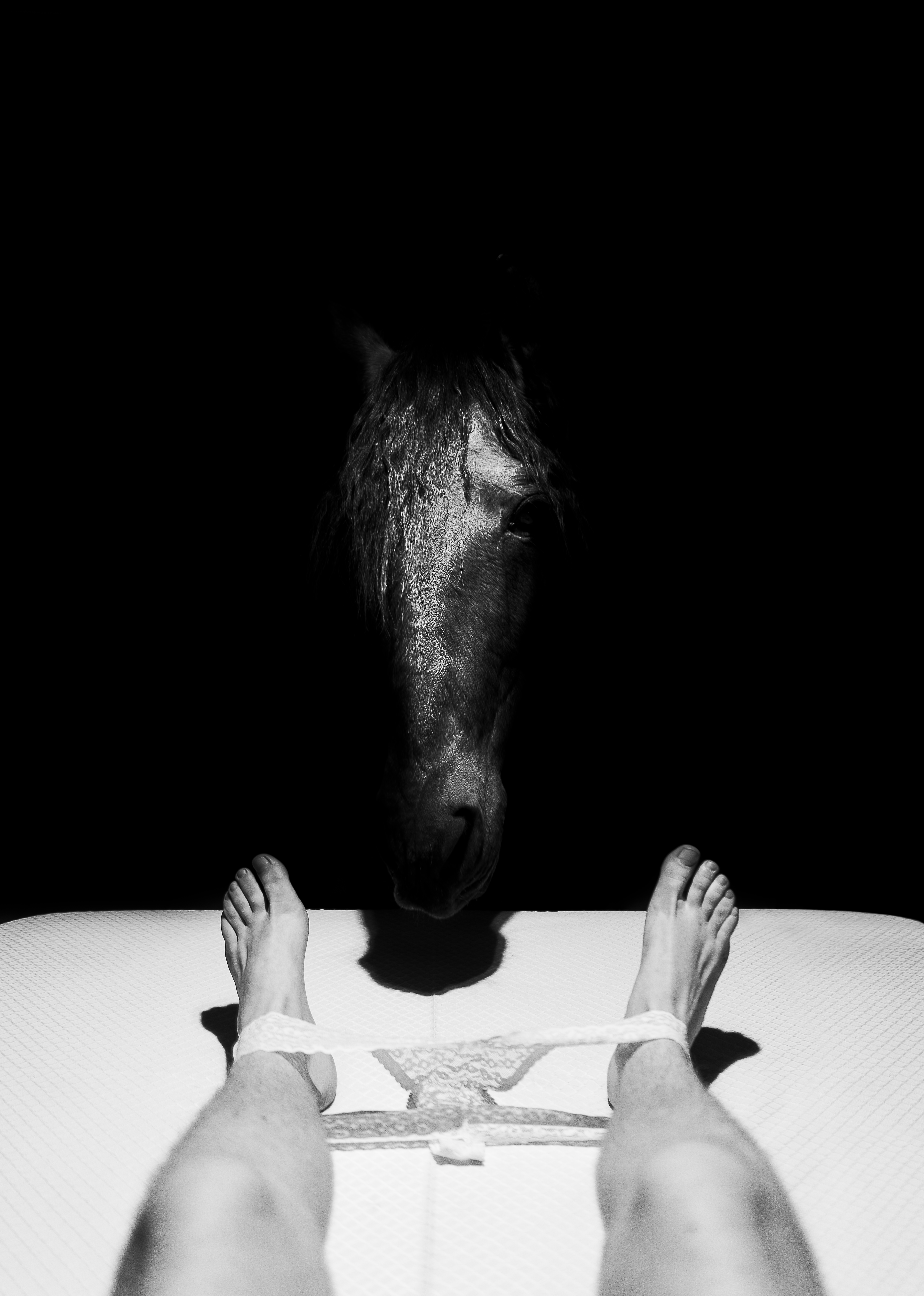 UN CABALLO EN LA HABITACIÓN